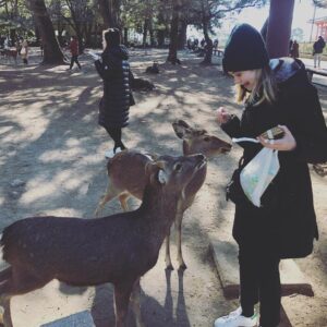 Sara Paxton Instagram - My new friends.