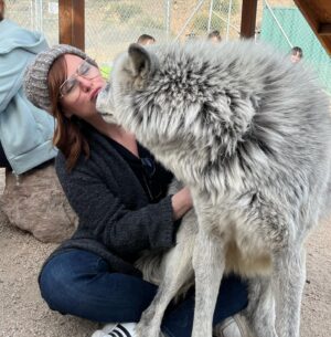 Sara Rue Instagram - Pretty sure this wolf fell in love with me (and the feeling was definitely mutual). I spent the afternoon at @apexprotectionproject -
If you’re in California I highly recommend checking ‘em out! I’ve always had a fascination with wolves but wow, getting that close and spending this kinda time with these gentle giants, really blew my mind. I hate how hollywood has villainized them. There is nothing quite like looking deep into the eyes of a wolf. It was magic. They are magic. I feel really lucky. 🐺