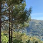 Sara Barradas Instagram - 1- Bem vindos ao Parque Nacional da Peneda-Gerês - Reserva Mundial da Biosfera. Nunca me canso de cá vir! 2- 🚨Alerta alterações climáticas 🚨 Cascata do Arado (linda na mesma) 3- Caminhando no paraíso 4- Alerta fofura inesperada ❤️🎨 5- Cascata de Pincães. Linda! Mas de difícil acesso… 6- Espigueiros do Soajo 7- Dona Lua 🐂 8- Lindo 🏞️ 9- Pelourinho do Eiró - Soajo 10- Dos melhores hambúrgueres da minha vida! Com carne de vaca da raça cachena, típica da região (Soajo). Seguimos na nossa Flamingo da @campersroyaloficial 🚐🦩 #gerês #cascatadoarado #cascatadepincães #soajo