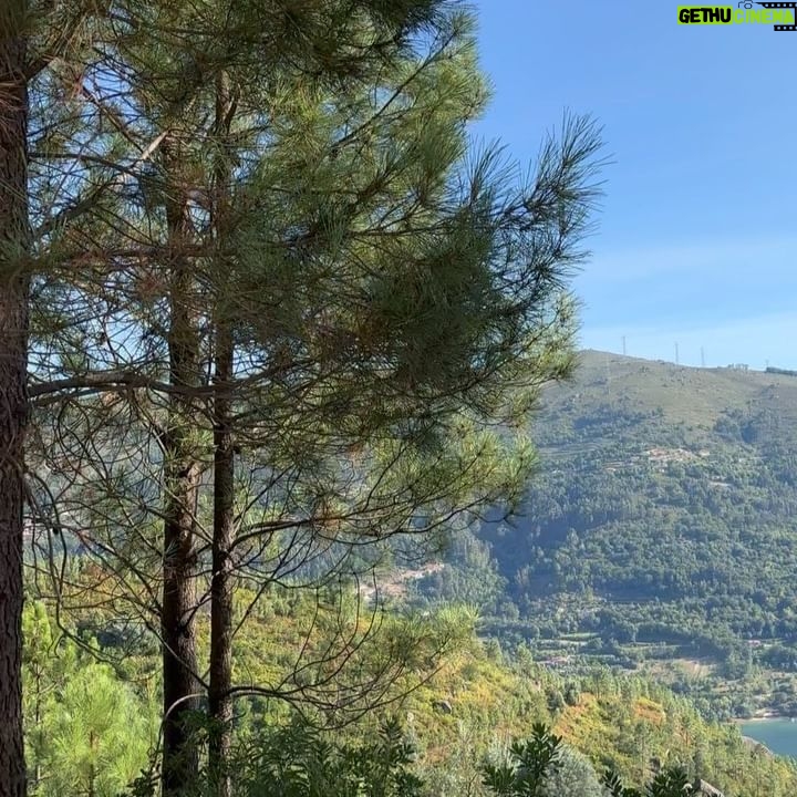 Sara Barradas Instagram - 1- Bem vindos ao Parque Nacional da Peneda-Gerês - Reserva Mundial da Biosfera. Nunca me canso de cá vir! 2- 🚨Alerta alterações climáticas 🚨 Cascata do Arado (linda na mesma) 3- Caminhando no paraíso 4- Alerta fofura inesperada ❤️🎨 5- Cascata de Pincães. Linda! Mas de difícil acesso… 6- Espigueiros do Soajo 7- Dona Lua 🐂 8- Lindo 🏞️ 9- Pelourinho do Eiró - Soajo 10- Dos melhores hambúrgueres da minha vida! Com carne de vaca da raça cachena, típica da região (Soajo). Seguimos na nossa Flamingo da @campersroyaloficial 🚐🦩 #gerês #cascatadoarado #cascatadepincães #soajo