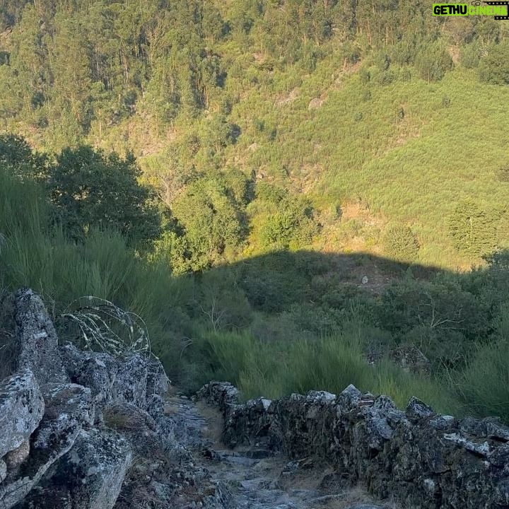 Sara Barradas Instagram - 1- Bem vindos ao Parque Nacional da Peneda-Gerês - Reserva Mundial da Biosfera. Nunca me canso de cá vir! 2- 🚨Alerta alterações climáticas 🚨 Cascata do Arado (linda na mesma) 3- Caminhando no paraíso 4- Alerta fofura inesperada ❤️🎨 5- Cascata de Pincães. Linda! Mas de difícil acesso… 6- Espigueiros do Soajo 7- Dona Lua 🐂 8- Lindo 🏞️ 9- Pelourinho do Eiró - Soajo 10- Dos melhores hambúrgueres da minha vida! Com carne de vaca da raça cachena, típica da região (Soajo). Seguimos na nossa Flamingo da @campersroyaloficial 🚐🦩 #gerês #cascatadoarado #cascatadepincães #soajo