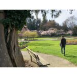 Sara Canning Instagram - Here are a few of the good walks I’ve had with good people over the past year.