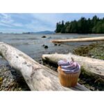 Sara Canning Instagram - And here is the salt water yeti, with the good fortune of turning a year older. Thank you for the well wishes and please take care of each other.