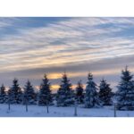 Sara Canning Instagram - A smattering of -25°.