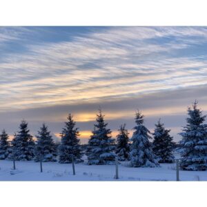 Sara Canning Instagram - A smattering of -25°.