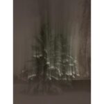 Sara Canning Instagram - A smattering of -25°.
