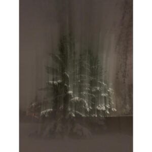 Sara Canning Instagram - A smattering of -25°.