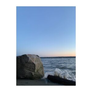 Sara Canning Instagram - 🪨 🪵 🌊
