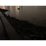 Sara Canning Instagram - Some night crawling.