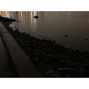 Sara Canning Instagram - Some night crawling.