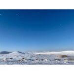 Sara Canning Instagram - A smattering of -25°.
