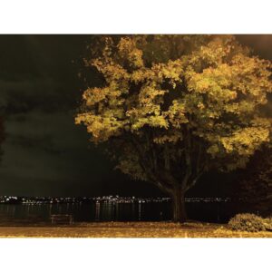 Sara Canning Instagram - Some night crawling.