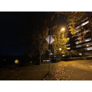 Sara Canning Instagram - Some night crawling.