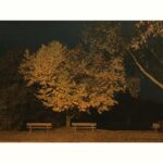 Sara Canning Instagram - Some night crawling.
