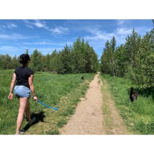 Sara Canning Instagram - A handful of the good walks with good people in 2021, and many more not pictured here.