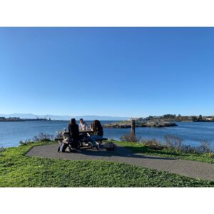 Sara Canning Instagram - A handful of the good walks with good people in 2021, and many more not pictured here.