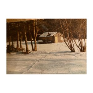Sara Canning Instagram - Psychological cabin genre inspiration, courtesy of my parents’ 20s.