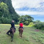 Sara Jane Ho Instagram - Malaysia highlights - riding polo ponies, Ipoh street food, and nightlife that reminds me of clubbing in Beijing 20 years ago 😍