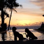 Sara Malakul Lane Instagram - Day 1 soul sister 🌅🌴❤️ @domnoelani