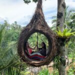 Sara Malakul Lane Instagram - Tree-pod 🌳