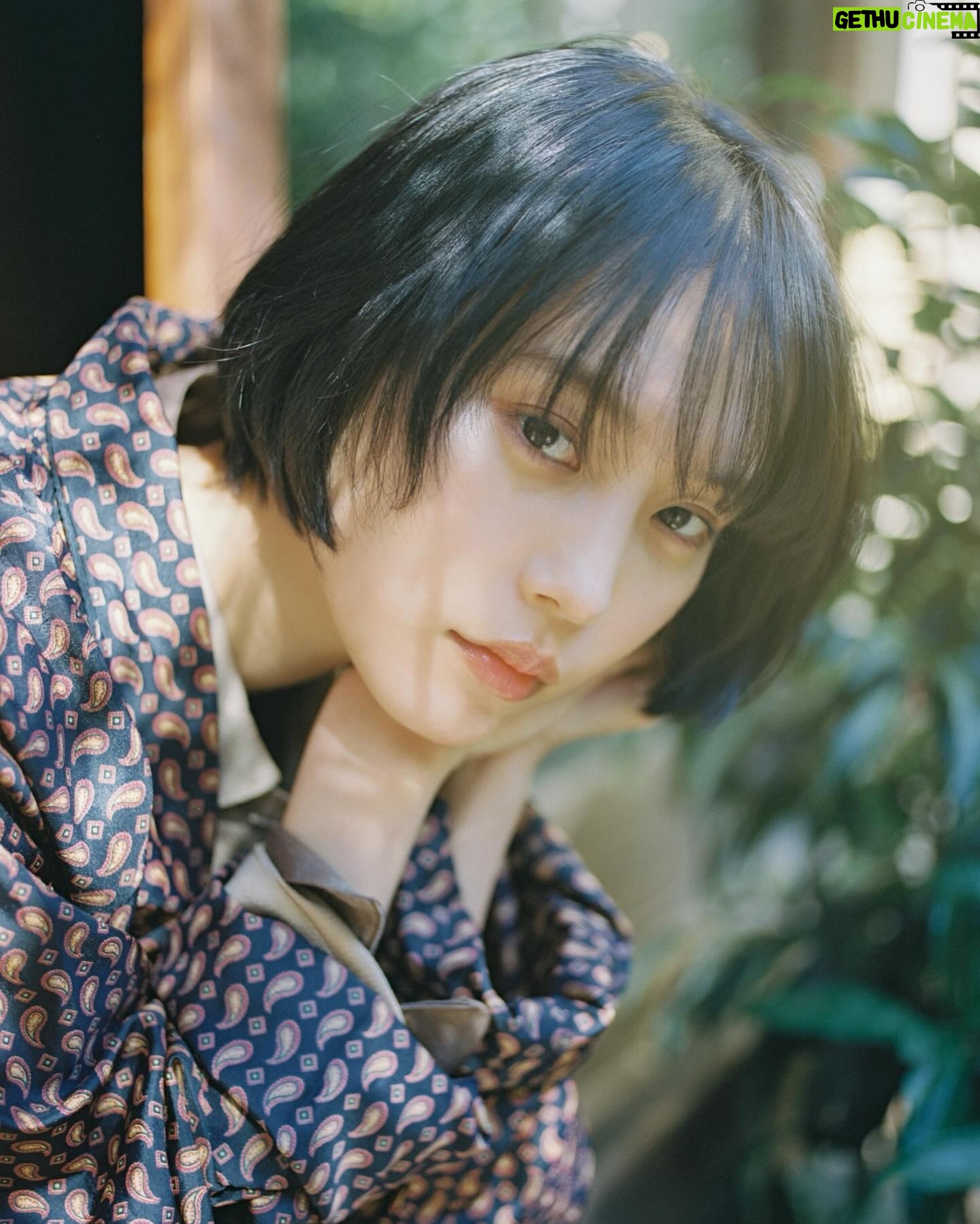 Sara Minami Instagram - イヌたち、ちょっとゴミ捨てに行って戻っただけで一年ぶりの再会みたいな反応するの毎回笑っちゃう。