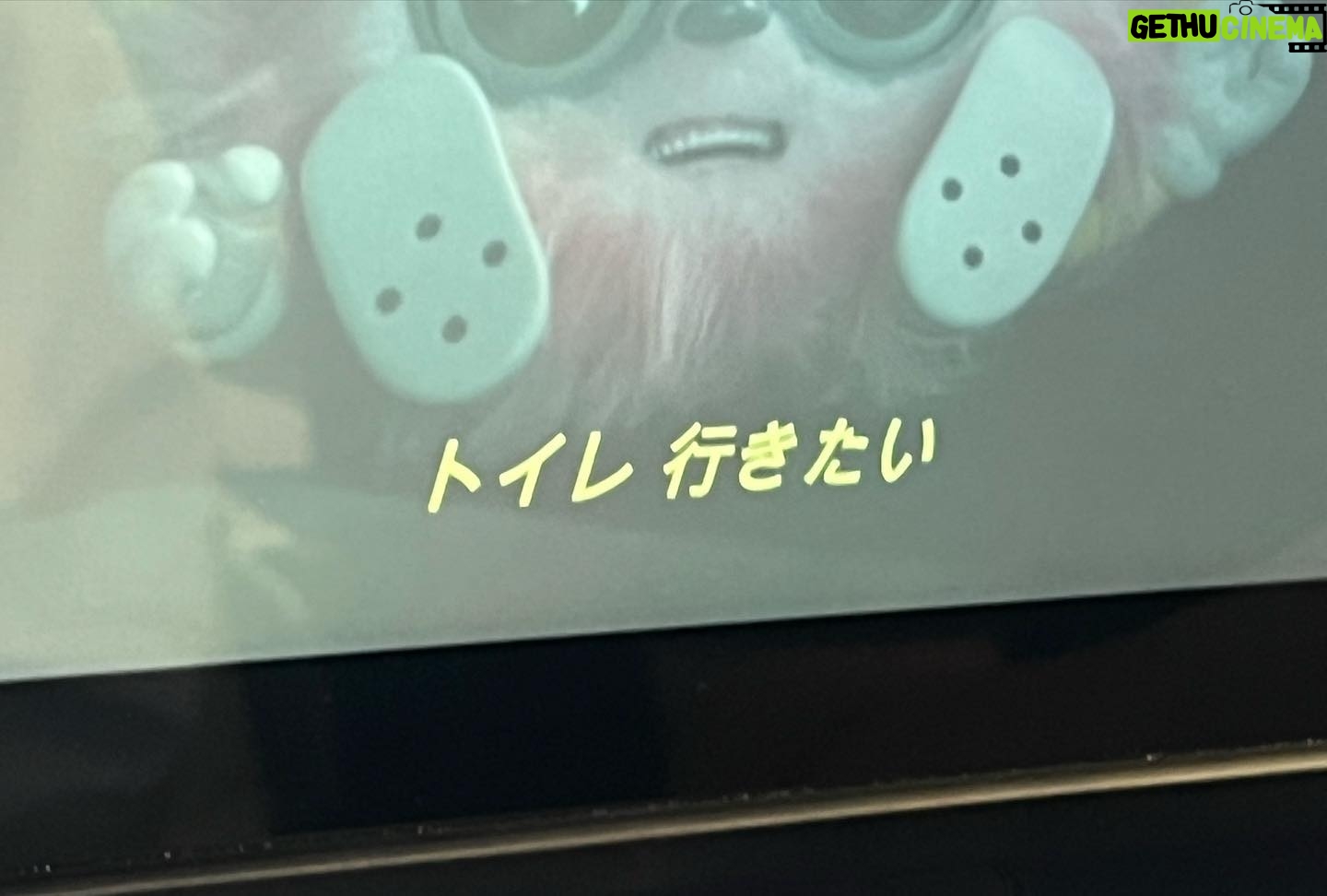 Sara Minami Instagram - 楽しかったこと全部走馬灯に出したい🕺🏿