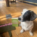 Sara Pascoe Instagram – My flatmate/best friend/soulmate helping me with the Weirdo marketing campaign today. My first novel is released September 14th but you can pre-order now! Woof woof