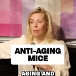 Sara Pascoe Instagram – Is this how we overcome the dangers of the internet? 🐁🐭