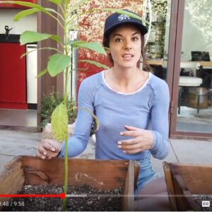 Sarah Butler Instagram - Let me ‘splain fruit tree pruning to you... Please?! It’s so cool, I promise!  Nerd out with me on fruit trees this week on Hollywood and Vines.  Link in bio.  Xo #hollywoodandvines #fruittree #fruittreepruning #plantnerd #homegardentips NOT #poppyfields SORRY #notsorry #youtube #gardenblogger #urbanfarm #hollywood