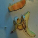 Sarah-Jeanne Labrosse Instagram - Quand l’apetite va tout va. 🍈 (C’est un jeu de mots merci)