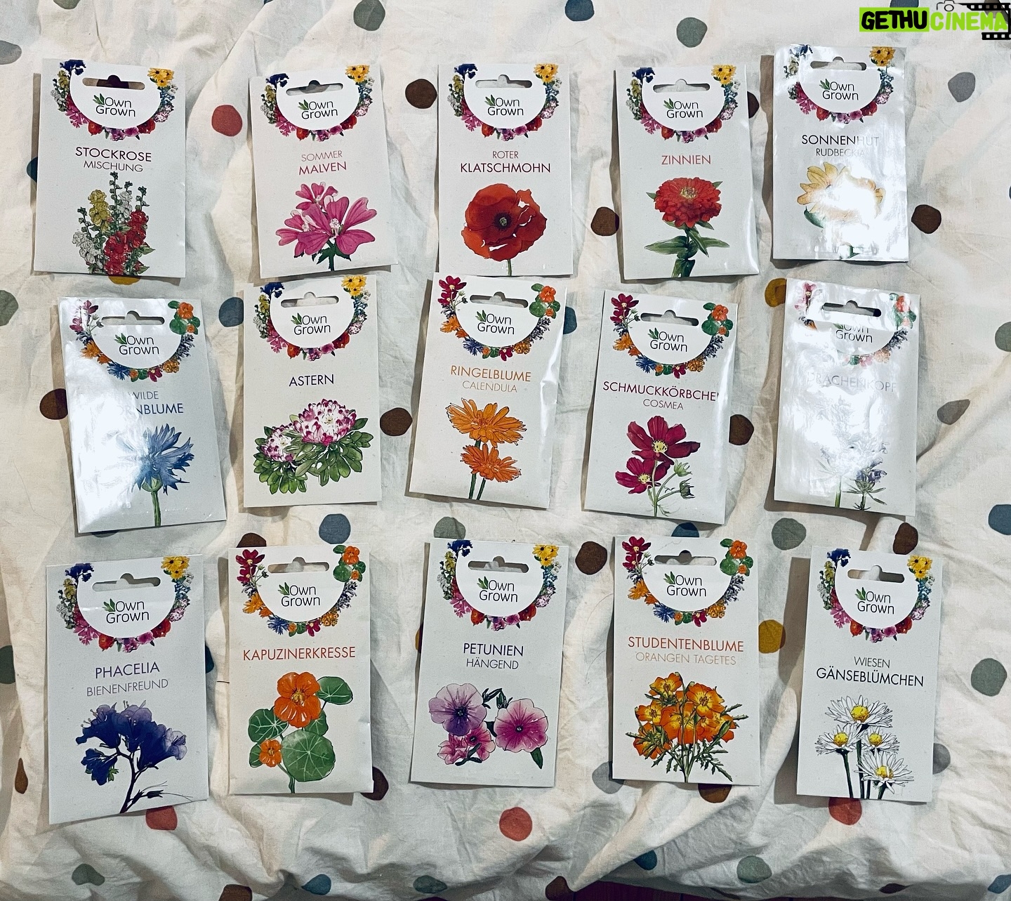 Sarah Kuttner - 1.7K Likes - Ich habe alle Blumensamen, die in meinem Adventskalender von Christoph waren, sortiert. Nach Wuchshöhe. Gleich werde ich sie noch nach Aussaatsmonat sortieren. Und danach nach Blütezeit. Und daraus ein Beet planen. Aber morgen werde ich vermutlich schon wieder was anderes machen wollen. Ach ich. 😍 Happy letzter Tag des Jahres, liebe Alle! Genießt ihn either way! Ich bin bereit für weniger in 2024! Das kann ich am meisten brauchen im kommenden Jahr. Weniger von dem, was dieses Jahr zuviel war. Sehr viel weniger. Aber dann! Dann säe ich mich aus, und blühe in den angemessenen Monaten! And so should you! 👊🏼😎😘 #newyeah