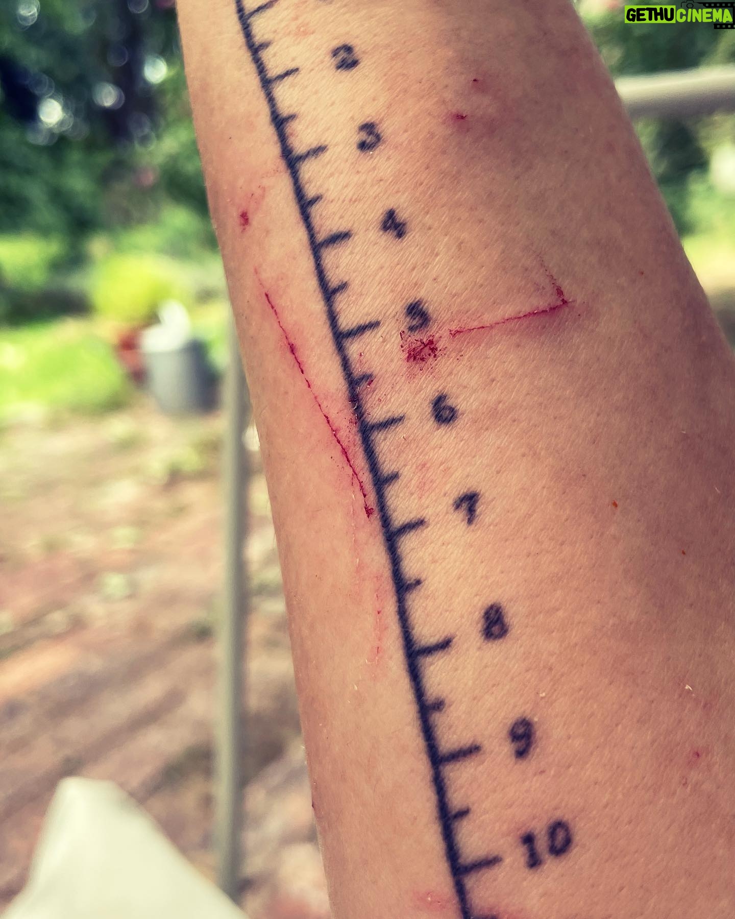 Sarah Kuttner - 2.3K Likes - Wunden wenigstens messen können. Genau meine Tasse Humor. Was tut euch heute weh? Shoot! (Tattoo von @romysticht! 😍)