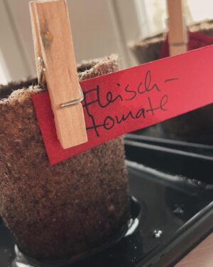 Sarah Kuttner Instagram - Unsere kleine Farm nimmt heute die Produktion auf. Ich habe eine Vorzuchtschaukel gebaut, Christoph sät, und ich mache Fehler beim Beschriften. Denn Papier weicht auf. Duh! Also hab ich einen neuen Plan gemacht. Und jetzt schaukeln alle glücklich. Mutti ist stolz und liegt jetzt lang. Was habt ihr heute gemacht? Und wie geht es euch jetzt danach? Shoot!