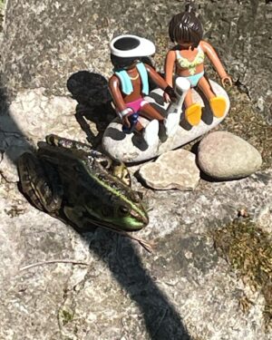 Sarah Kuttner Instagram - Hier werden erste Connections gemacht! Bisher alles friedlich. 🐸 #badegäste #frösche #teich