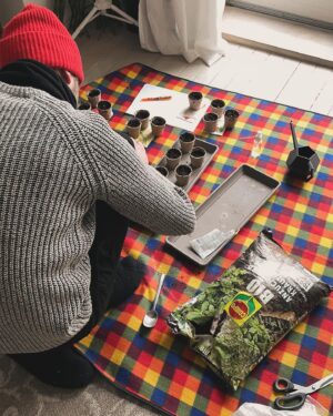 Sarah Kuttner Instagram - Unsere kleine Farm nimmt heute die Produktion auf. Ich habe eine Vorzuchtschaukel gebaut, Christoph sät, und ich mache Fehler beim Beschriften. Denn Papier weicht auf. Duh! Also hab ich einen neuen Plan gemacht. Und jetzt schaukeln alle glücklich. Mutti ist stolz und liegt jetzt lang. Was habt ihr heute gemacht? Und wie geht es euch jetzt danach? Shoot!