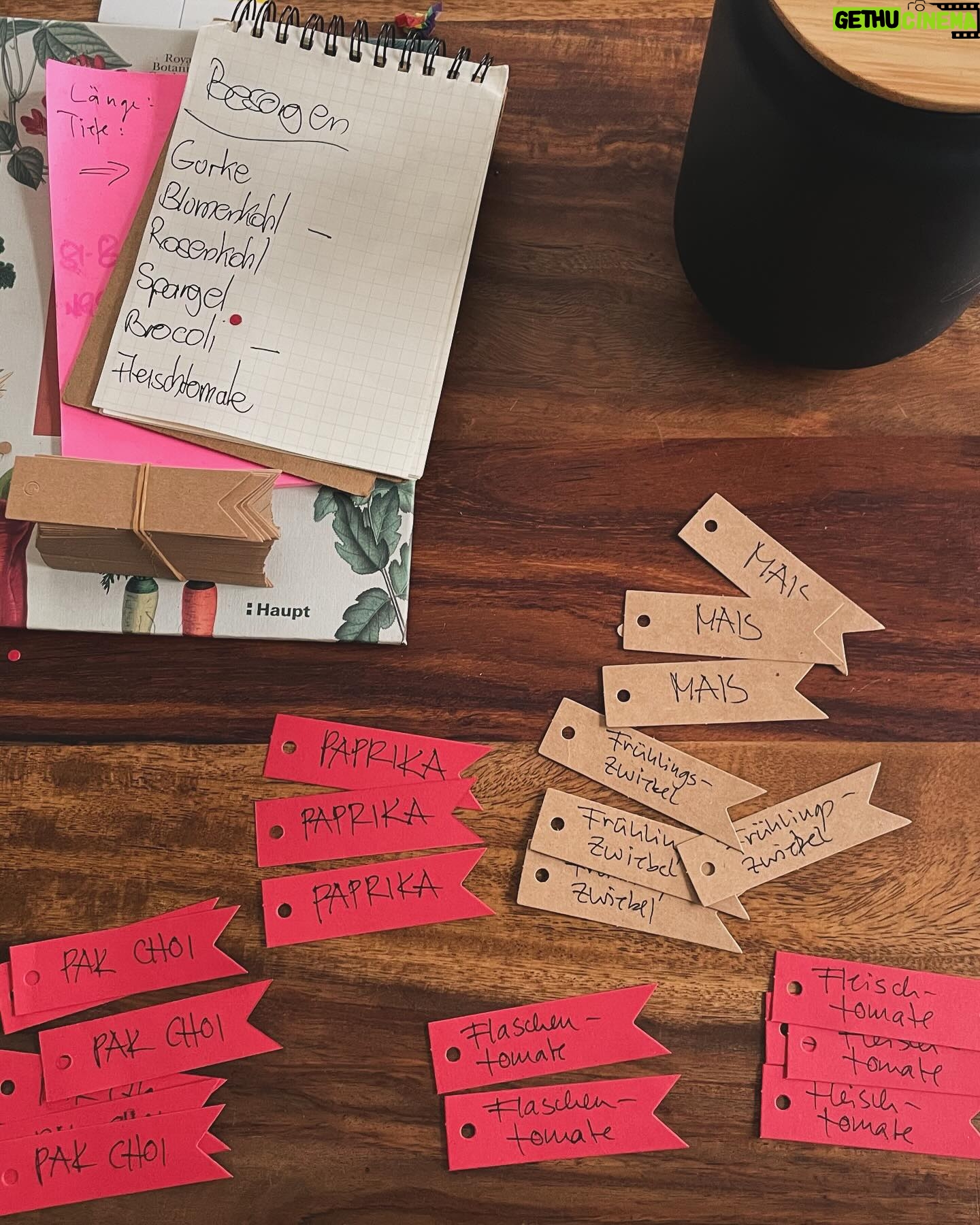 Sarah Kuttner - 2K Likes - Unsere kleine Farm nimmt heute die Produktion auf. Ich habe eine Vorzuchtschaukel gebaut, Christoph sät, und ich mache Fehler beim Beschriften. Denn Papier weicht auf. Duh! Also hab ich einen neuen Plan gemacht. Und jetzt schaukeln alle glücklich. Mutti ist stolz und liegt jetzt lang. Was habt ihr heute gemacht? Und wie geht es euch jetzt danach? Shoot!