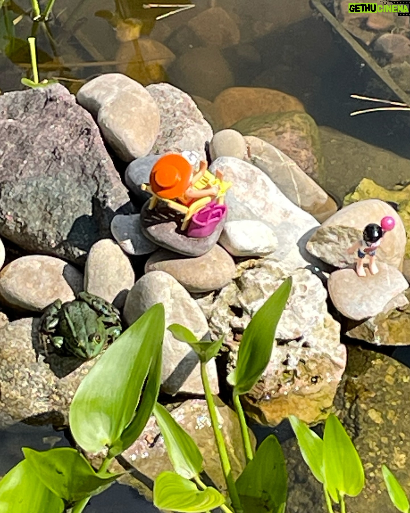 Sarah Kuttner - 1.6K Likes - Hier werden erste Connections gemacht! Bisher alles friedlich. 🐸 #badegäste #frösche #teich