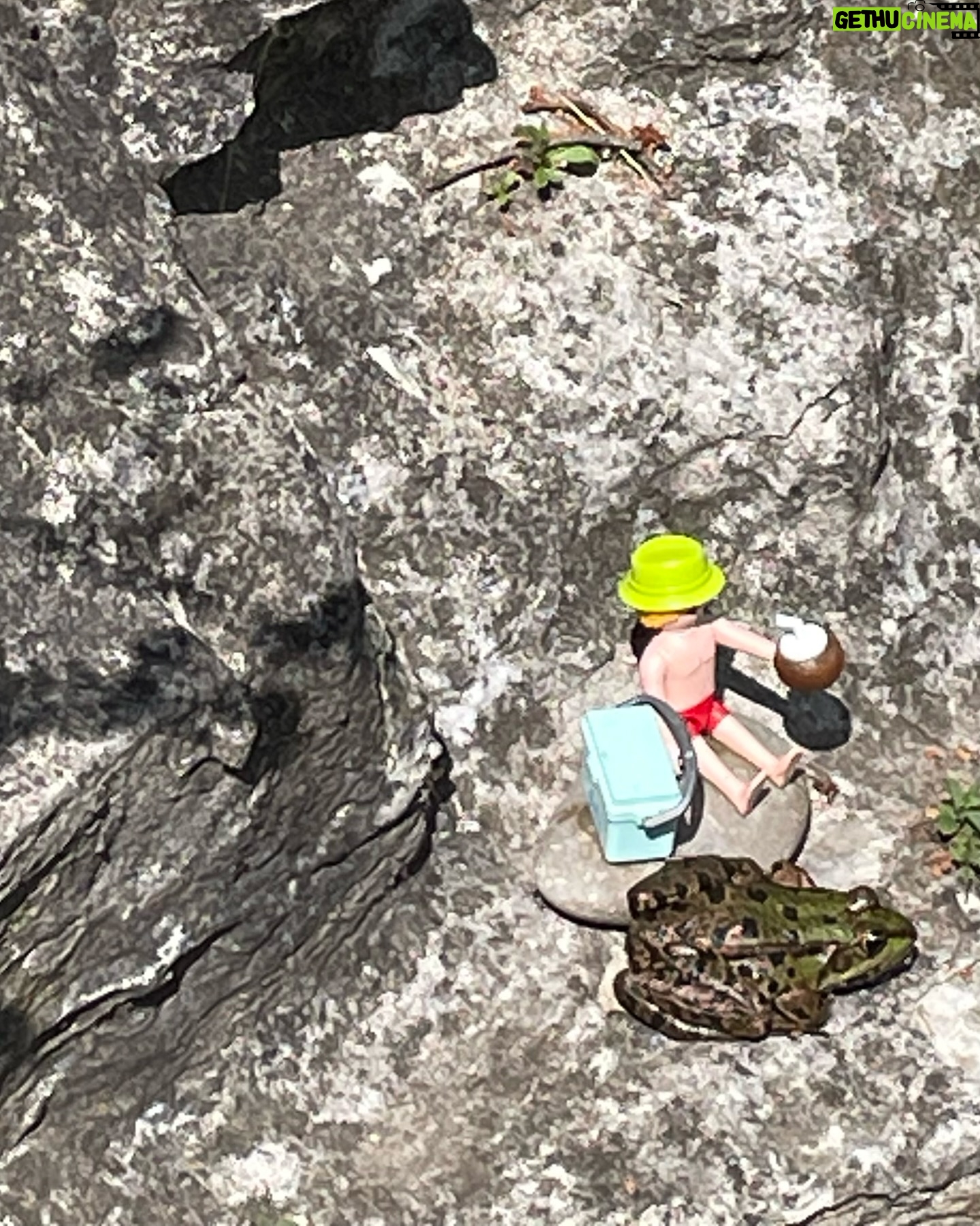 Sarah Kuttner - 1.6K Likes - Hier werden erste Connections gemacht! Bisher alles friedlich. 🐸 #badegäste #frösche #teich