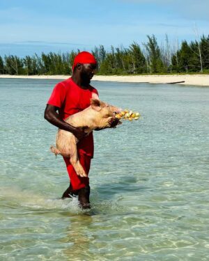 Sarah Parish Instagram - Just me and my pig. Amazing day swimming with pigs in the Bahamas. This @regentcruises on the Grandeur is exceptional. Highly recommend.
@thejimmurray @regentcruises #sevenseasgrandeur #bahamas