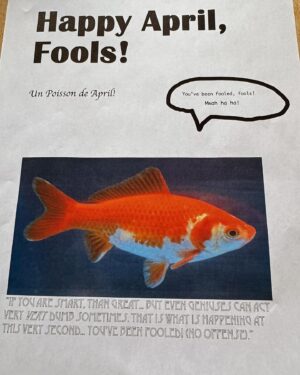 Sarah Polley Instagram - April Fool’s Day got more conceptual this year. These were in every room. No one will explain them to me.