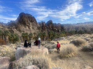 Sarah Polley Instagram - Feral kids in the desert