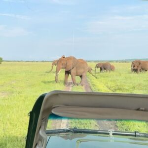 Sarah Willis Instagram - Music with the Maasai in magical Tanzania - an experience of a lifetime. Thank you @nimaliafrica @jimchasses and Mum! 🐘🦒