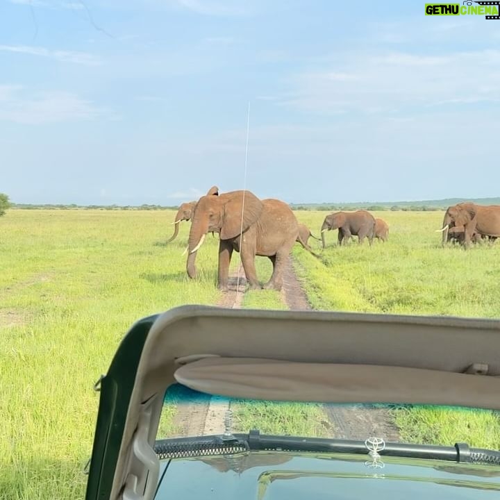 Sarah Willis - 4.1K Likes - Music with the Maasai in magical Tanzania - an experience of a lifetime. Thank you @nimaliafrica @jimchasses and Mum! 🐘🦒