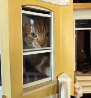Sarah Beeny Instagram - I suppose it’s as cosy a place as any? 🐈 xxx
.
.
.
#cats #dollhouse #mini #miniature #dollshouse #dollhouserenovation #catsofinstagram