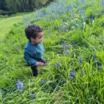 Sarah Beeny Instagram - One gorgeous Great Nephew Freddie blending in with one of my fav flowers in the world!!! What a joy to see!! I LOVE Spring!!! @livylemareka a little bundle of delight!! Xxx #bluebell