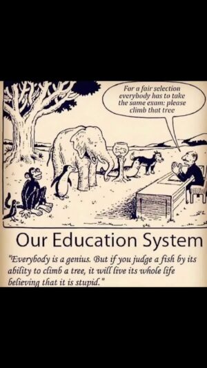 Sarah Beeny Instagram - Yup - that pretty much sums up our education system at the moment!!! Share if you agree! Xxx