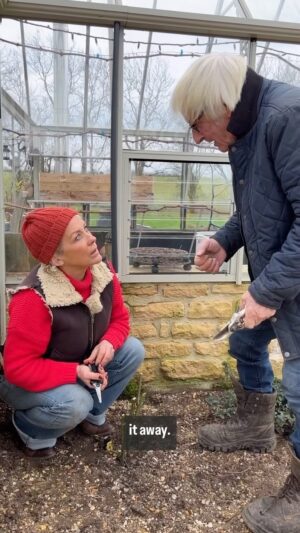 Sarah Beeny Instagram - PRUNING ROSES - Part 2. What Bert doesn’t know about roses, basically isn’t worth knowing 💩🌹💩🌹.
@bloomingbert #pruning #garden #roses #learning