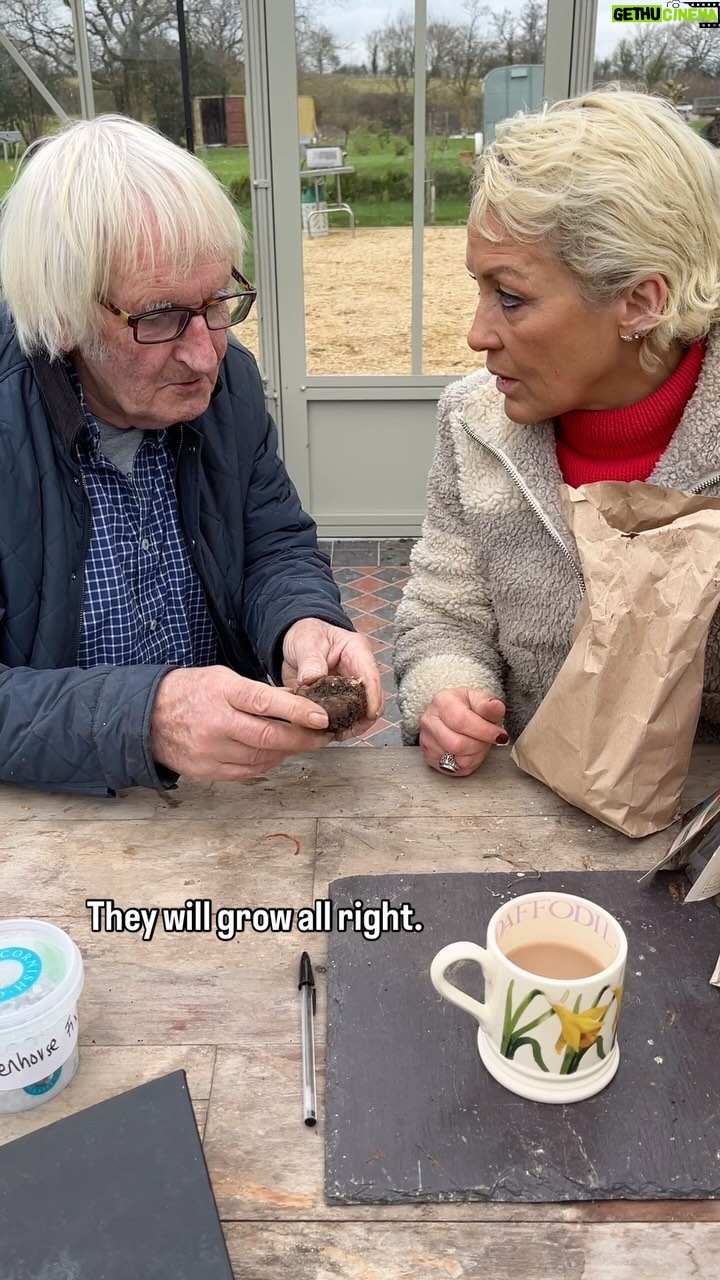 Sarah Beeny Instagram - #bulbs #nothingventurednothinggained 🌺🌸🌺 @bloomingbert thank you so much for all your advice and patience! Xxx. . . #spring #garden #gardening #begonia #lessons #learning