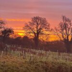 Sarah Beeny Instagram – Morning everyone!! Blimey Mother Nature on fire today!!! X #sunrise
