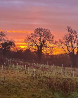 Sarah Beeny Instagram - Morning everyone!! Blimey Mother Nature on fire today!!! X #sunrise
